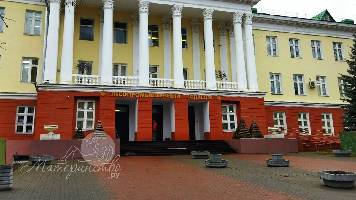 На кого пойти учиться в 2026 году: топ высокооплачиваемых профессий с ростом доходов