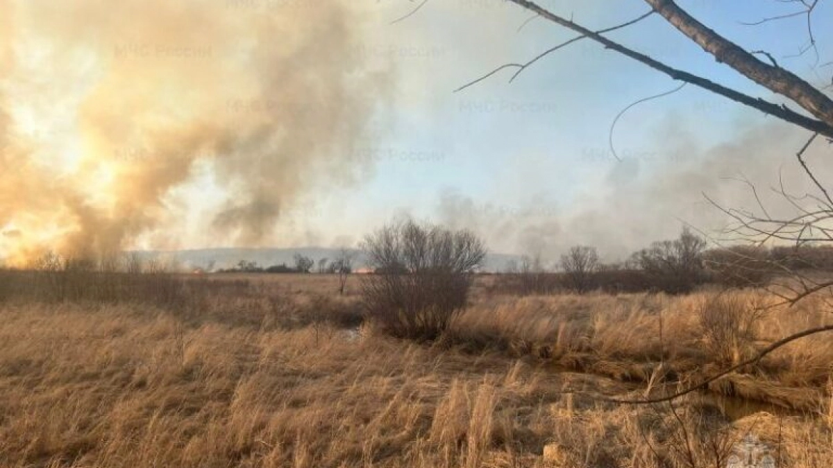 В Приамурье брат с сестрой хотели согреться и чуть не спалили село 