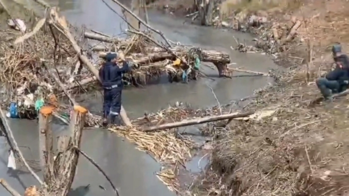 Жасмин и RT спасли семью из двух женщин и детей после потопа в Дагестане