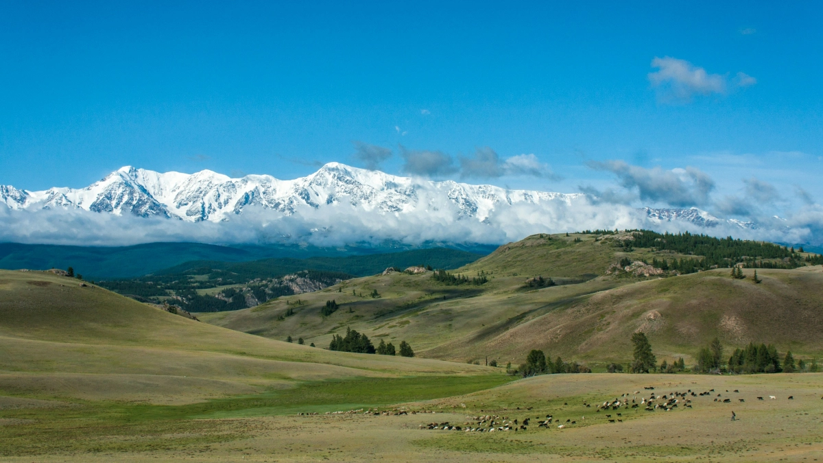 Туалет во дворе и холод по цене Сочи: почему туристы не любят отдыхать на Алтае — честный отзыв 
