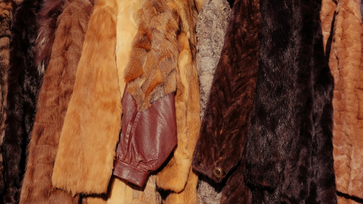 5 идей, что сделать из старой шубы: даем побитой молью норке вторую жизнь 