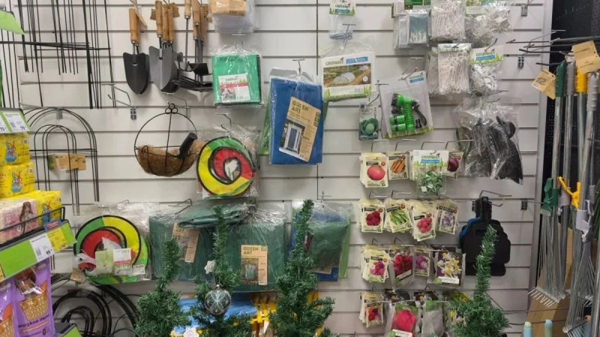 В Фикс Прайсе новый завоз - нашла кучу цветов для посадки: от гладиолусов до азиатских лилий. Показываю фото и цены