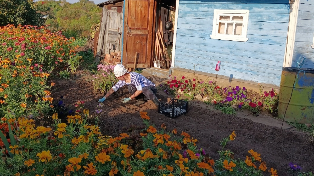 Как я жила без этого прежде: 7 лучших товаров для дачи с Озона, которые изменили мою жизнь