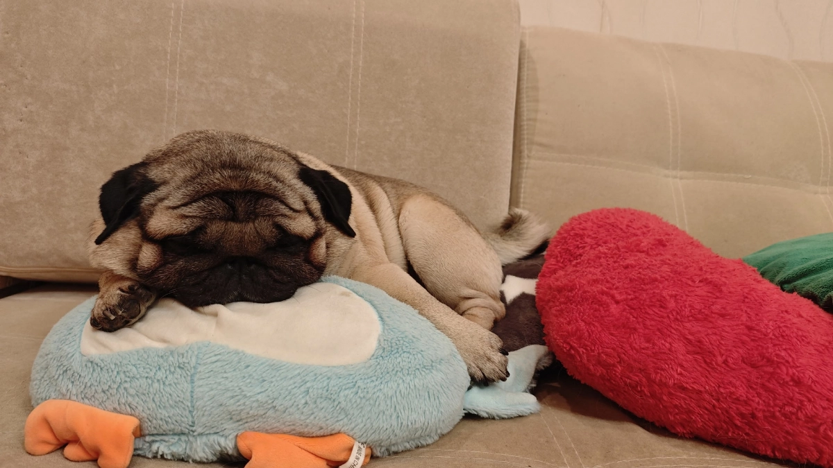 Привычка спать лицом в подушку ведет к раннему старению, заявила врач