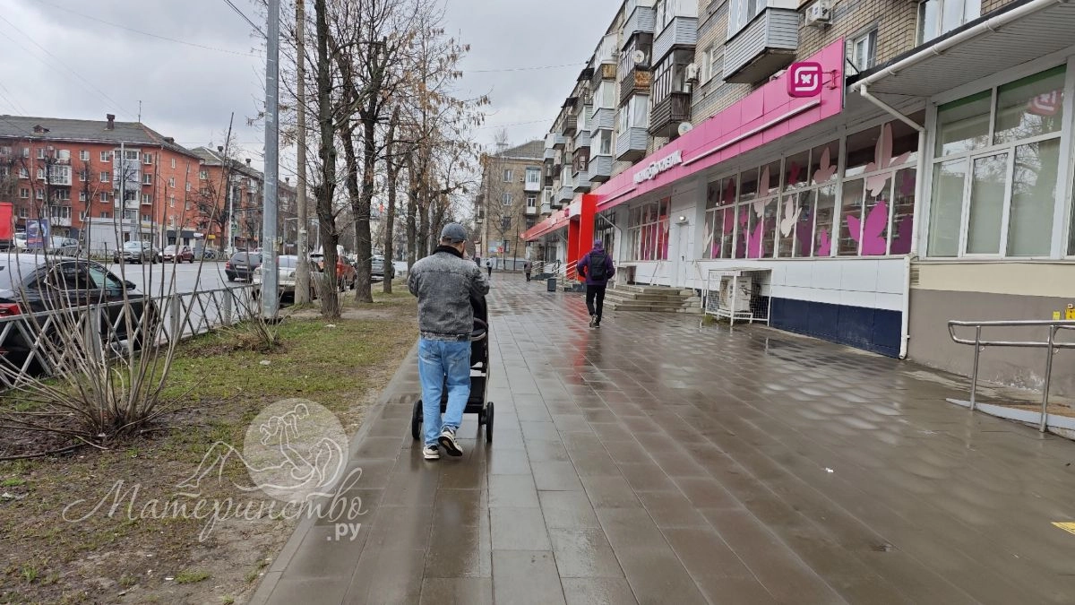 Ростовчанка бросила коляску с дочкой у зоопарка и ушла