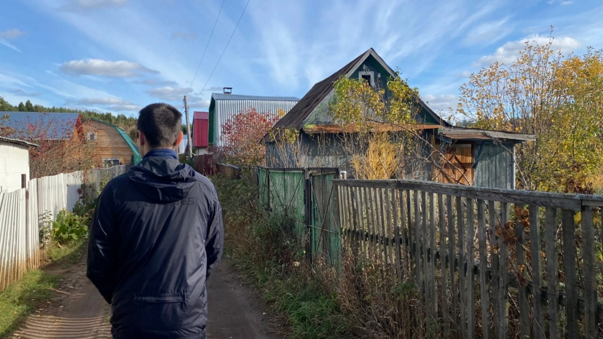 6 деревьев, которые нельзя сажать на участке: об этом предупреждал Мичурин еще в 1931 году