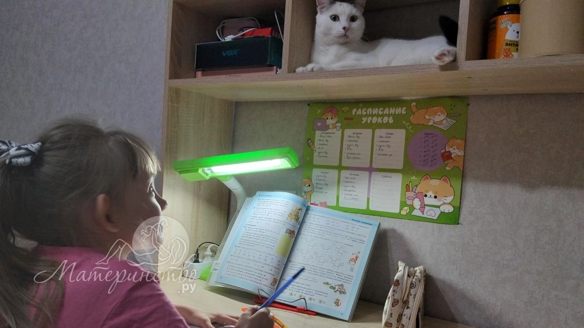 Учитель математики жестко высказался против сокращения школьной программы в России 