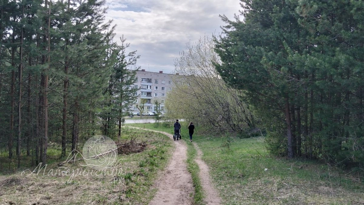 В Карелии на девочку напали сразу два клеща, и один оказался энцефалитным