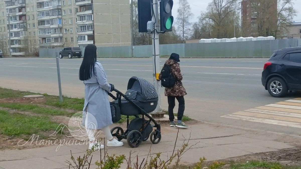 Единое пособие для многодетных скоро пересмотрят: дата уже названа