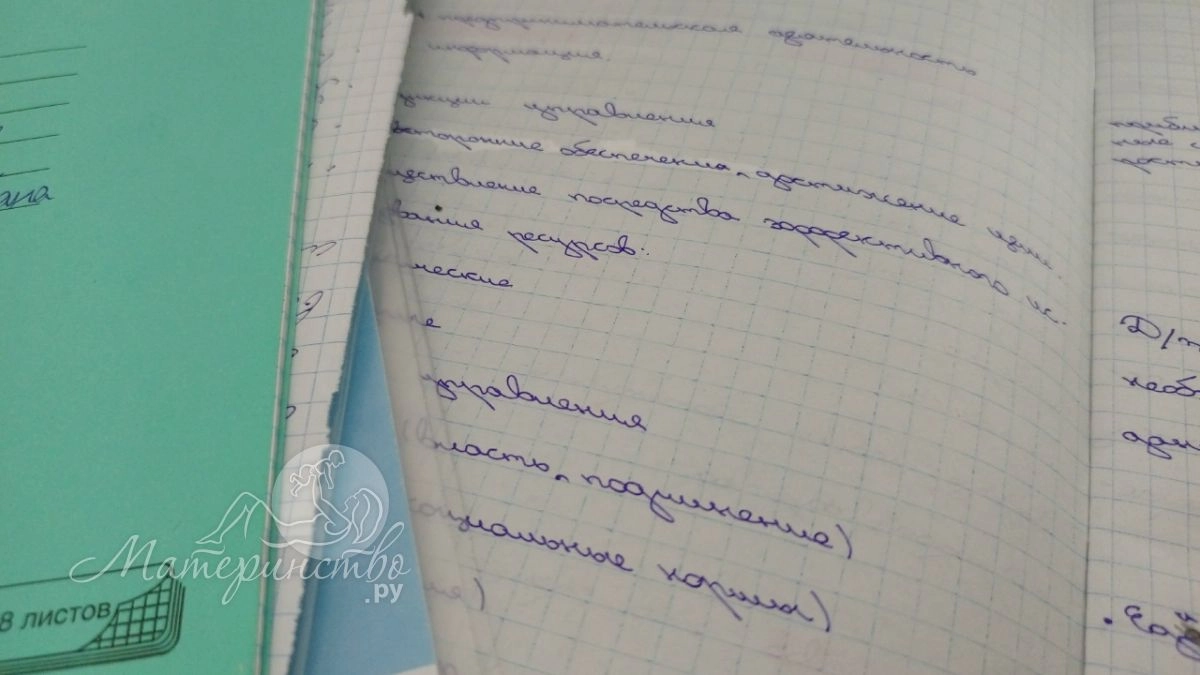 Дело не в подготовке: психолог назвала главный секрет стобалльников на ЕГЭ