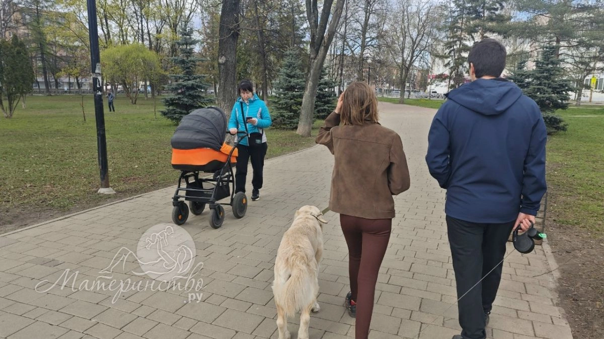 «Моя дочь предпочла своим детям мужчину, который бьет ее»: истории матерей, которые разочаровались во взрослых детях