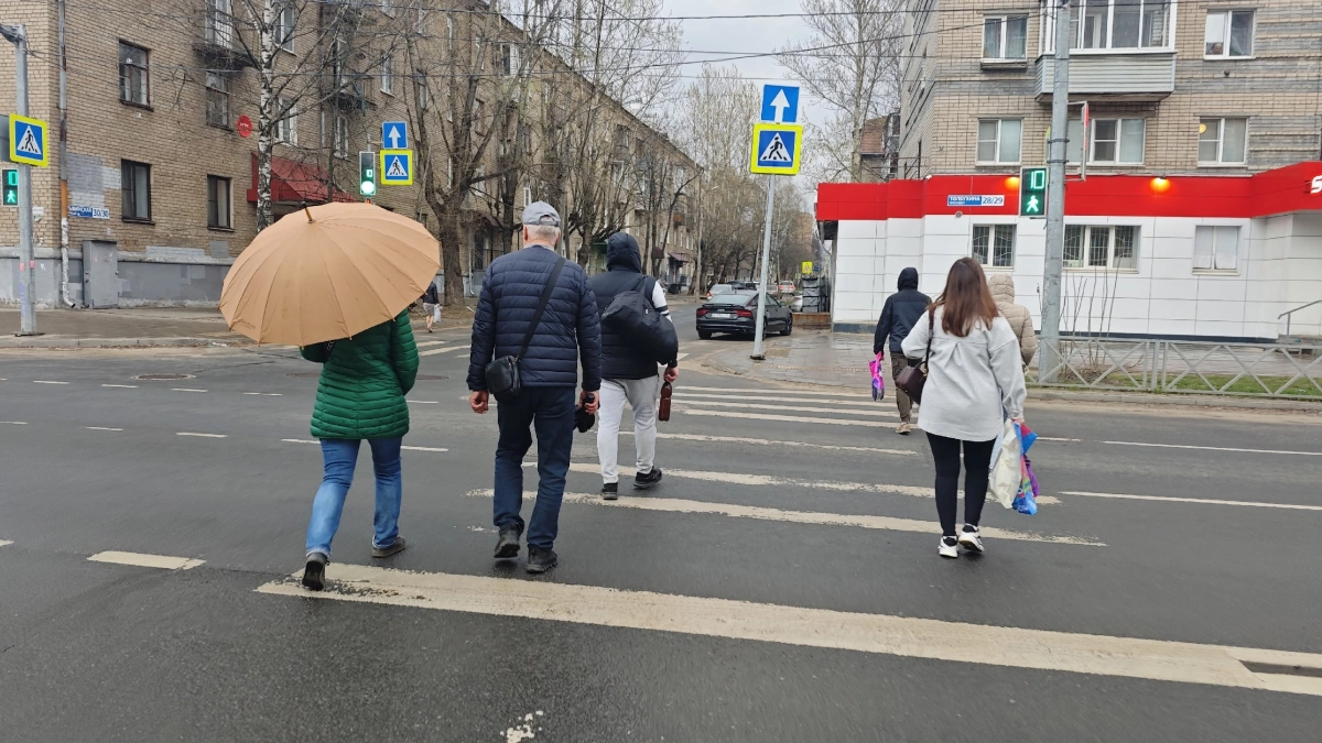Должен ли водитель ждать, пока пешеход полностью перейдет дорогу? Верховный Суд поставил точку в вопросе