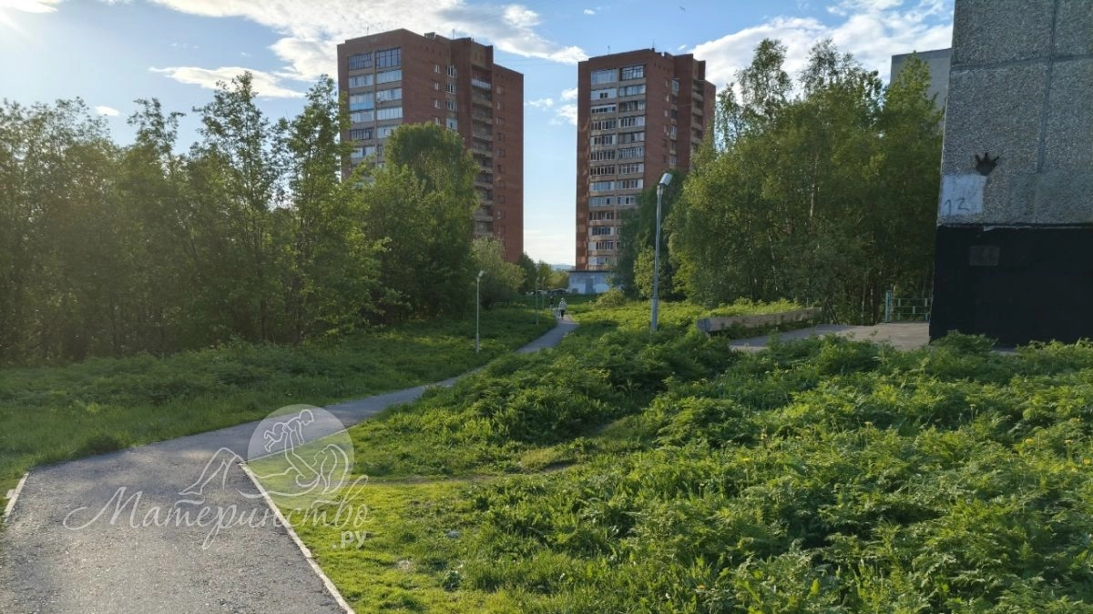 Ледяная ловушка: почему холодное пиво в жару не спасает, а убивает