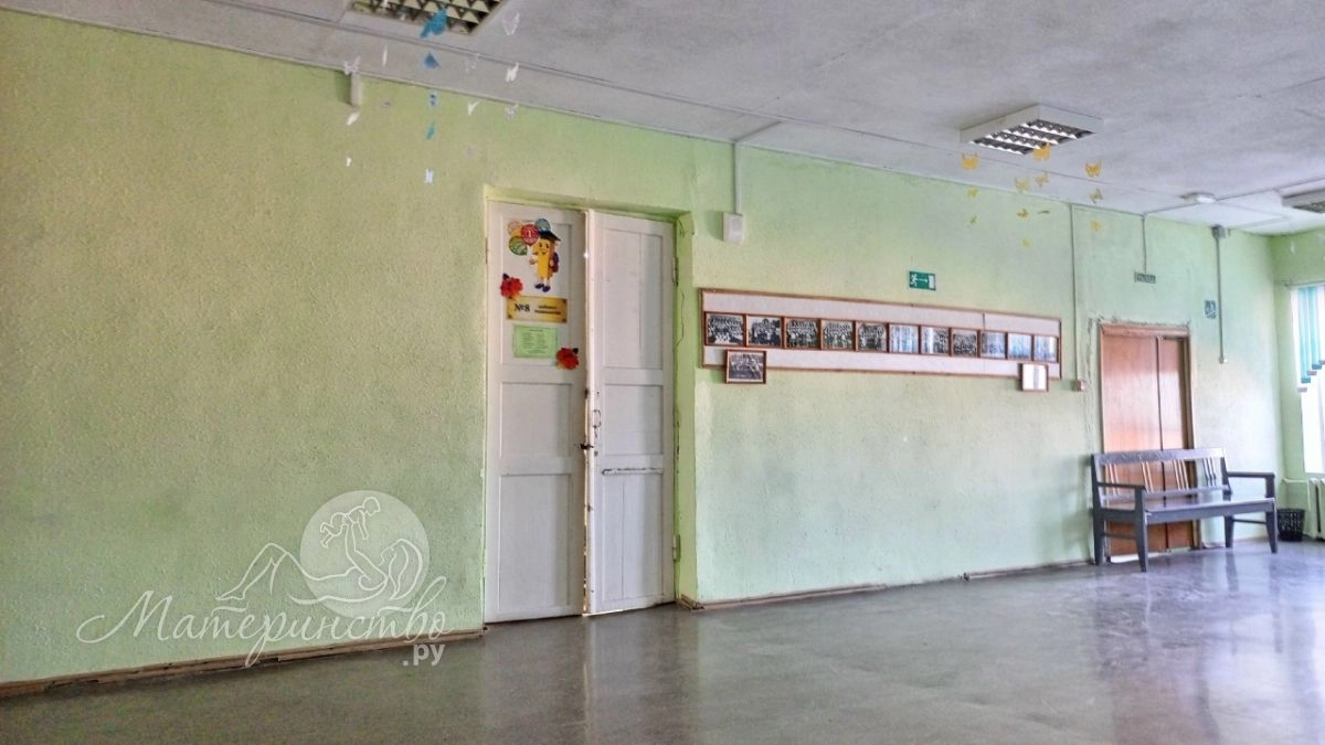 Сотни выпускников остались без аттестата из-за ЕГЭ по русскому языку в 2026 году