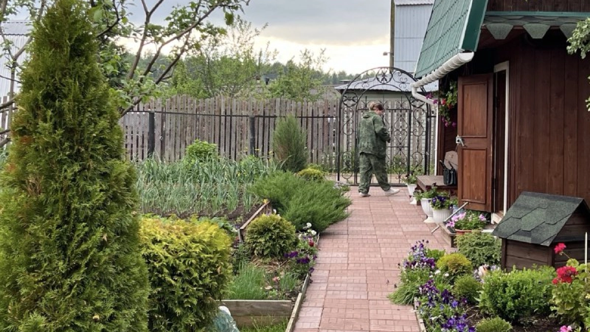 Плитка на даче уже не в моде: умные хозяева делают садовые дорожки из дешевых материалов своими руками — прослужат годы