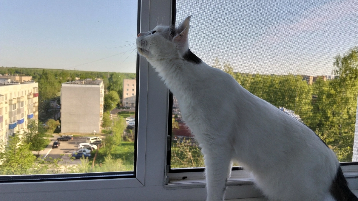 На кондиционер не трачусь — дома прохладно даже в +40: эта простая вещица спасает от жары все лето
