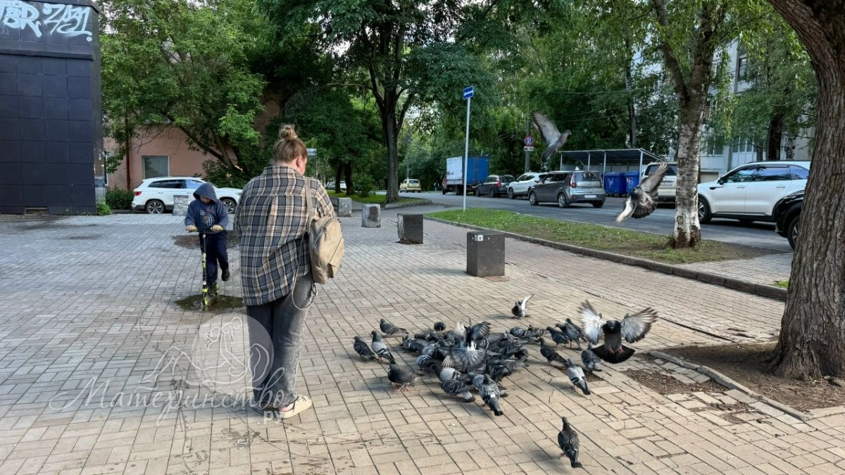 Болезни, которые могут переносить голуби: вот почему их нельзя трогать