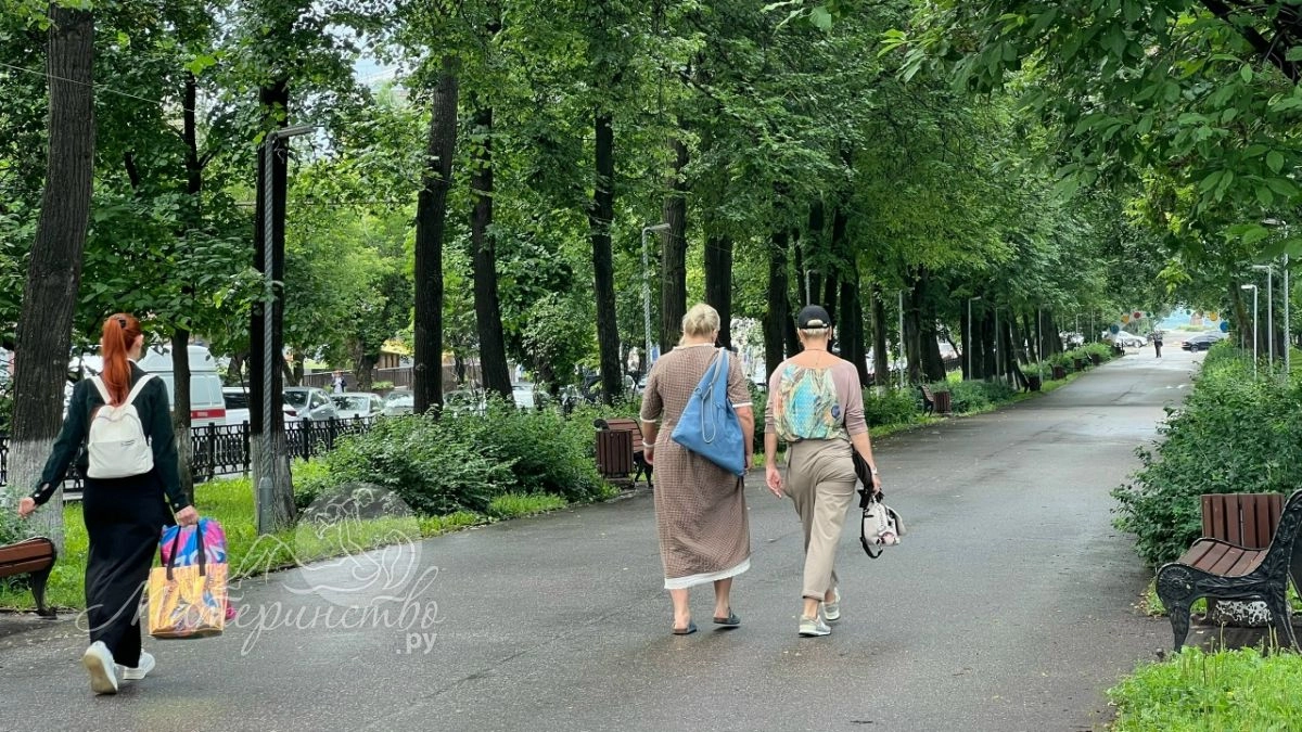 Какие документы подавать на пенсию по новым правилам: важные изменения в 2026