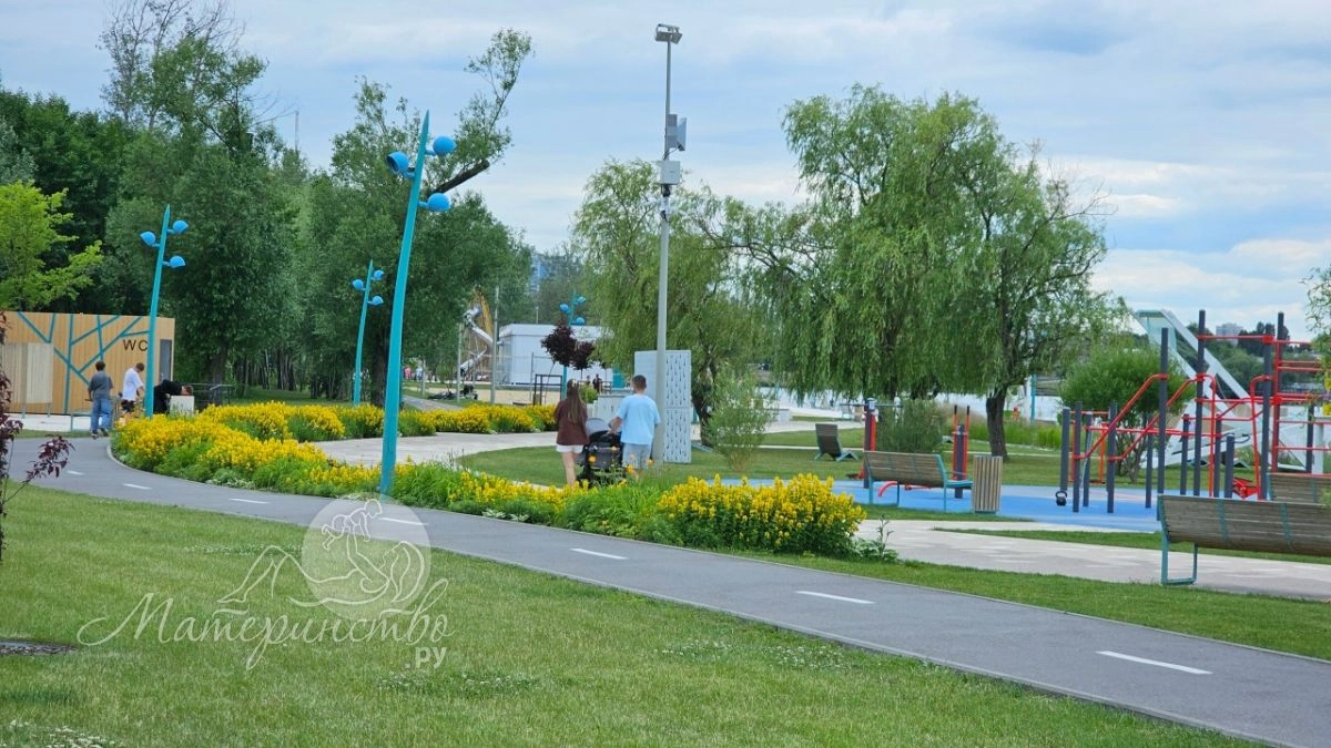 Семейный «кешбэк» vs налоговый вычет: в чём разница и кто получит деньги