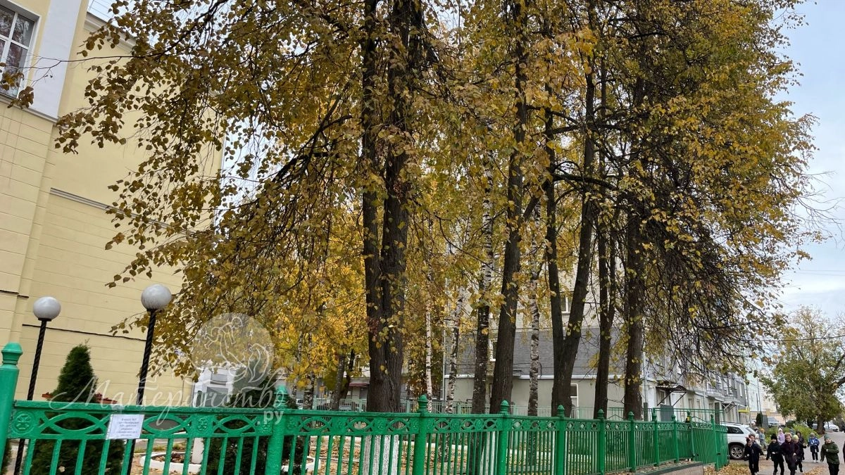В 10-й класс берут не всех: когда директор может отказать в приеме и что делать родителям 
