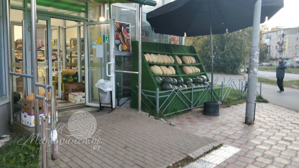 Кому нельзя есть дыню: диетолог назвала болезни, при которых ароматная ягода опасна