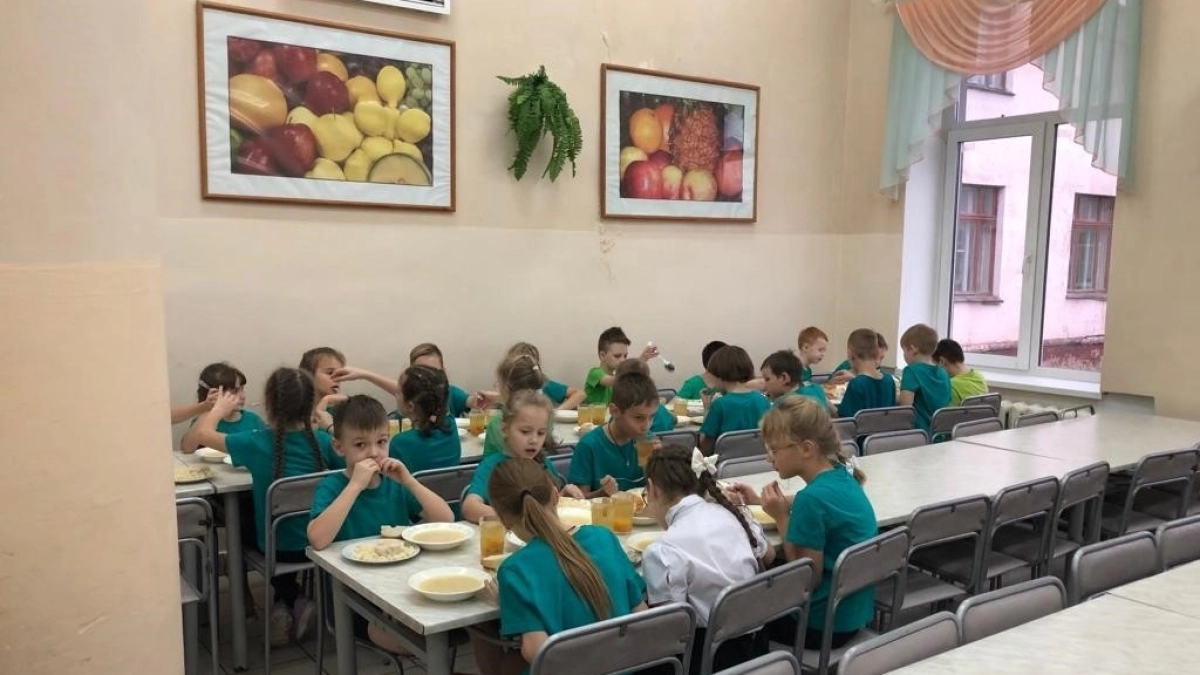 Еда за счет государства: как устроено бесплатное питание в школах, кто имеет право
