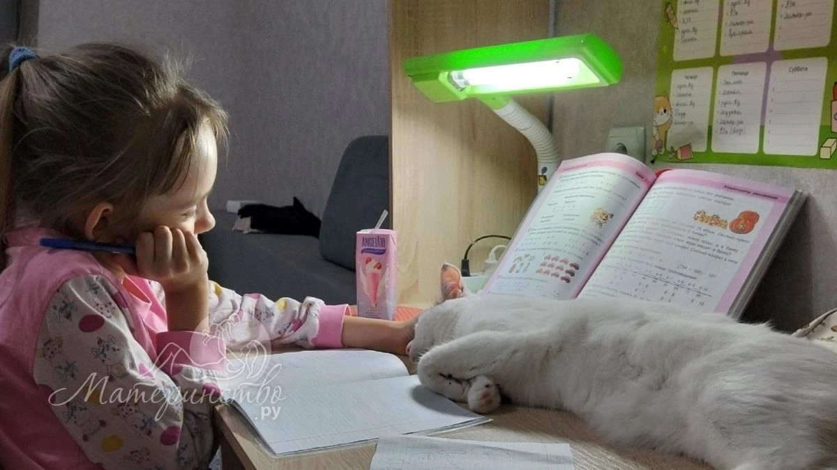 "Я тебя не слышу": почему мозг ребёнка отключается при маме, но включается при репетиторе