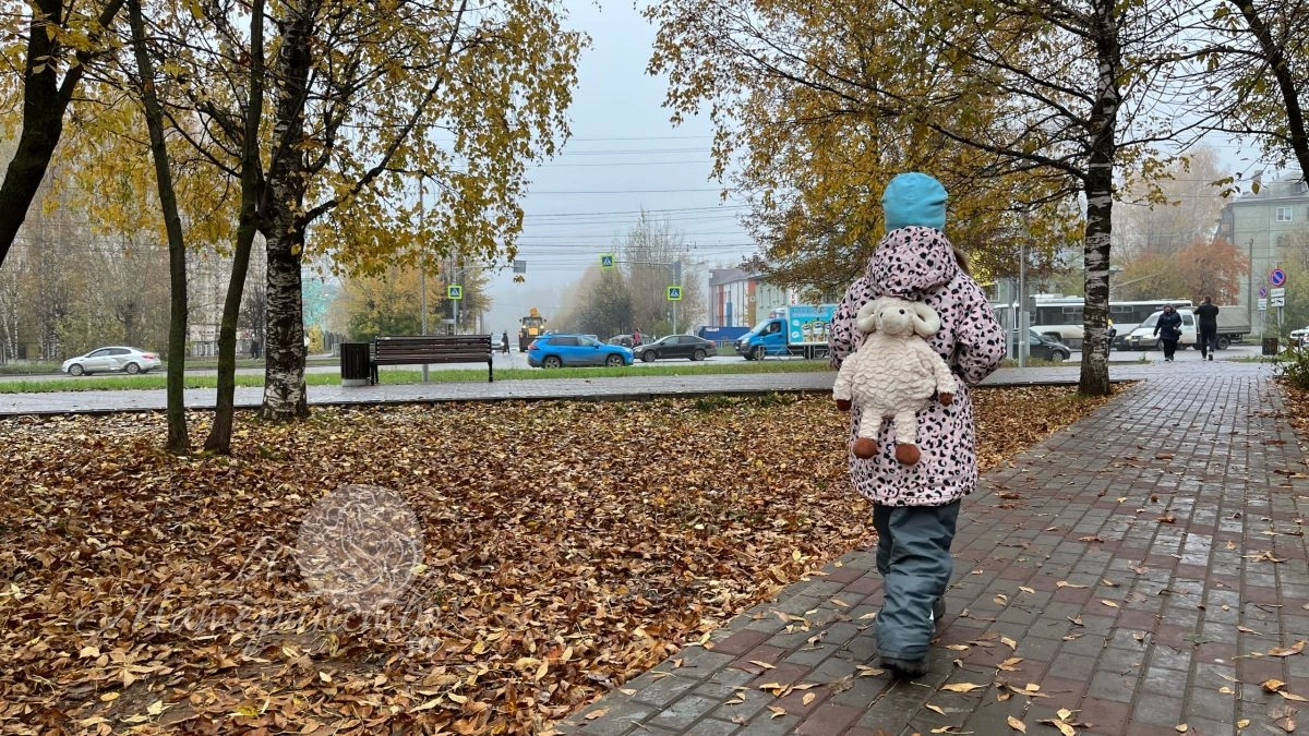 Ребёнок не хочет никому давать свои игрушки. Нужно ли учить его делиться?