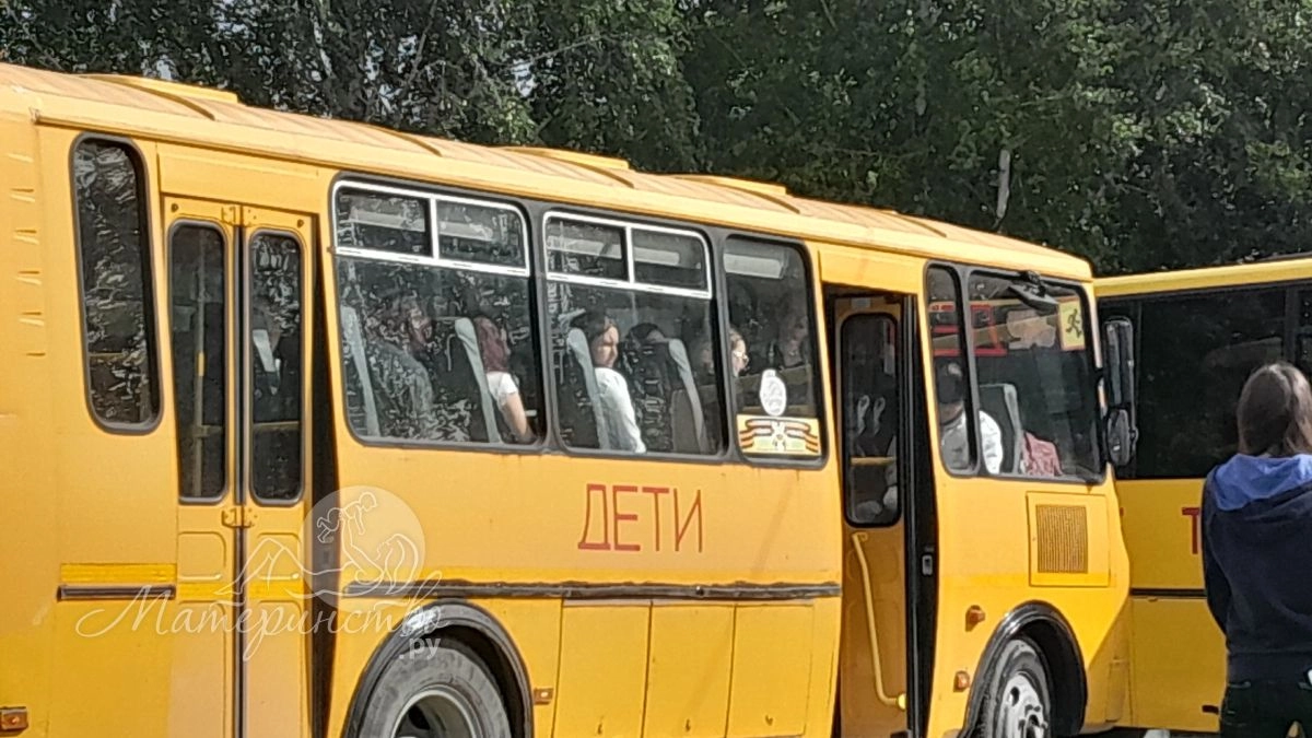 Почему школьные автобусы всегда жёлтые: история одного цвета, который спасает жизни