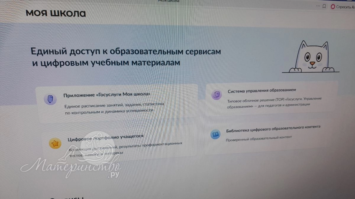 Система "Моя школа": в каких регионах работает и когда заработает по всей России - "Элжур" останется в прошлом
