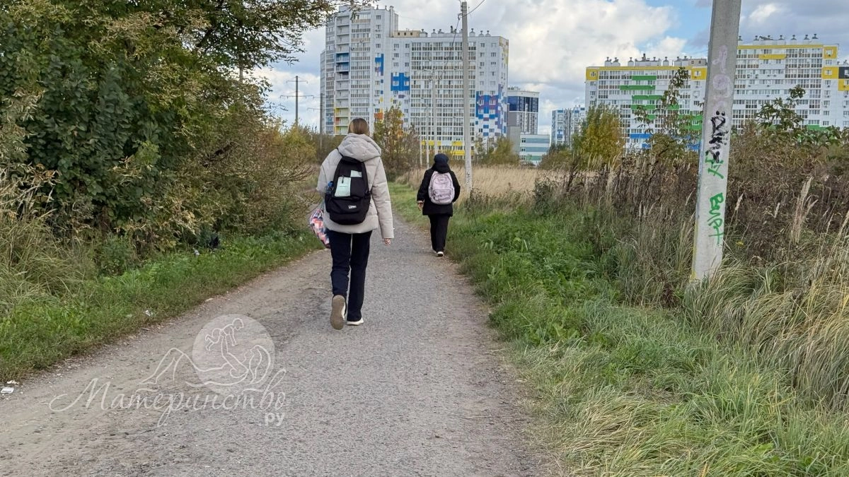 Какие предметы изучают в 5–8 классах и что из этого попадёт в аттестат