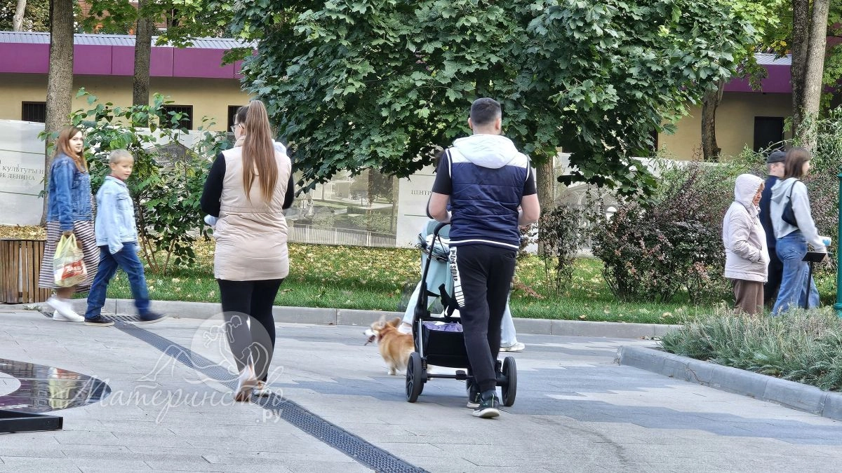 Как понять, что пора пересаживать ребёнка из люльки в прогулочную коляску: смотреть надо не на возраст