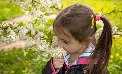 Весенние каникулы-2026: когда школьникам дадут передышку