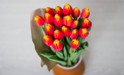 Кроме банальных тюльпанов: идеи подарков воспитателю на 8 марта
