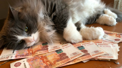 Карманные деньги: как научить ребенка не транжирить с первого класса