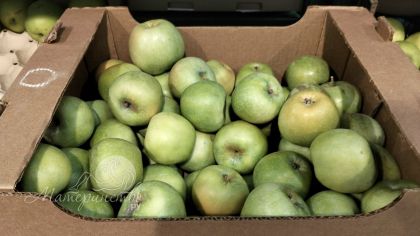 В полезном фрукте нашли опасность: как правильно есть яблоки