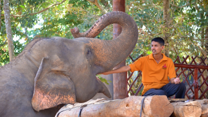 Пять неожиданных нюансов, которые удивят русских на Шри-Ланке (кроме природы)