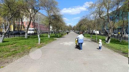Единое пособие: когда единственный родитель может иметь нулевой доход